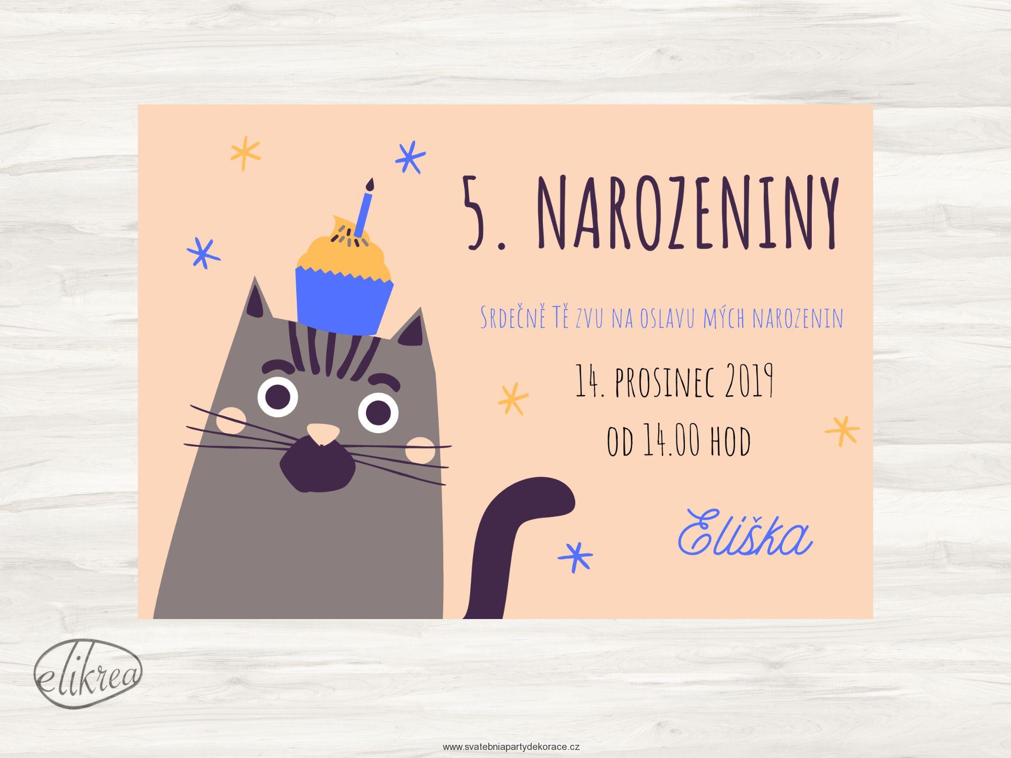 Narozeninová pozvánka kočka