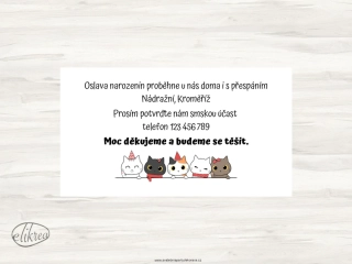 Informace k narozeninové pozvánce kočky